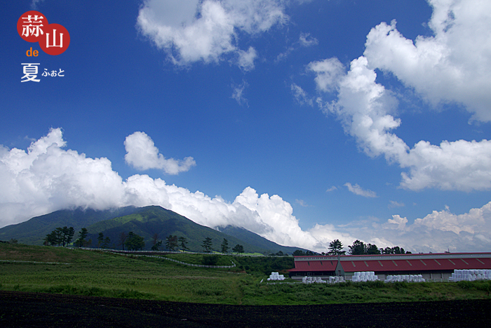 c0183700_2385017.jpg