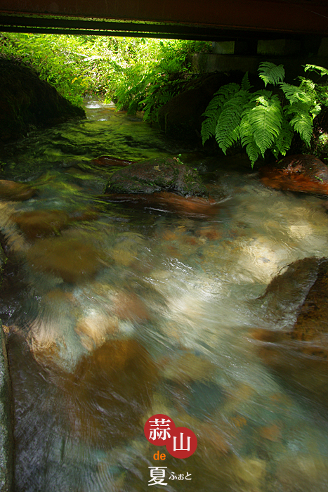 c0183700_239259.jpg