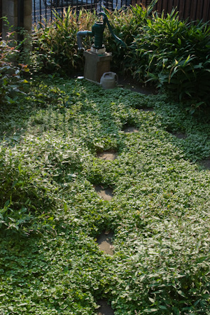 f0239100_22301991.jpg