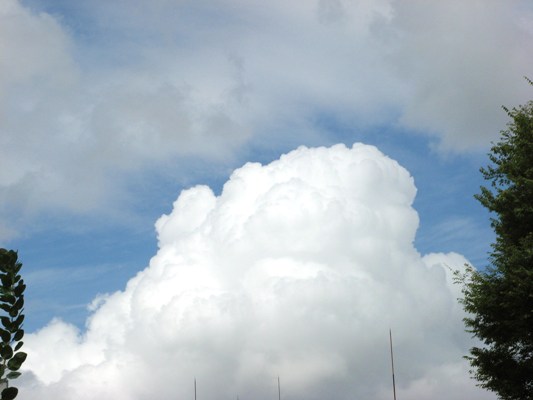 d0117001_134663.jpg