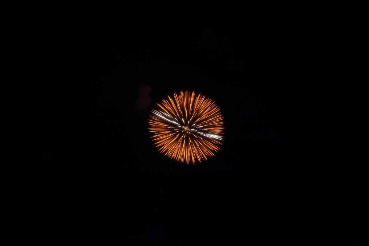 a0155104_16431637.jpg