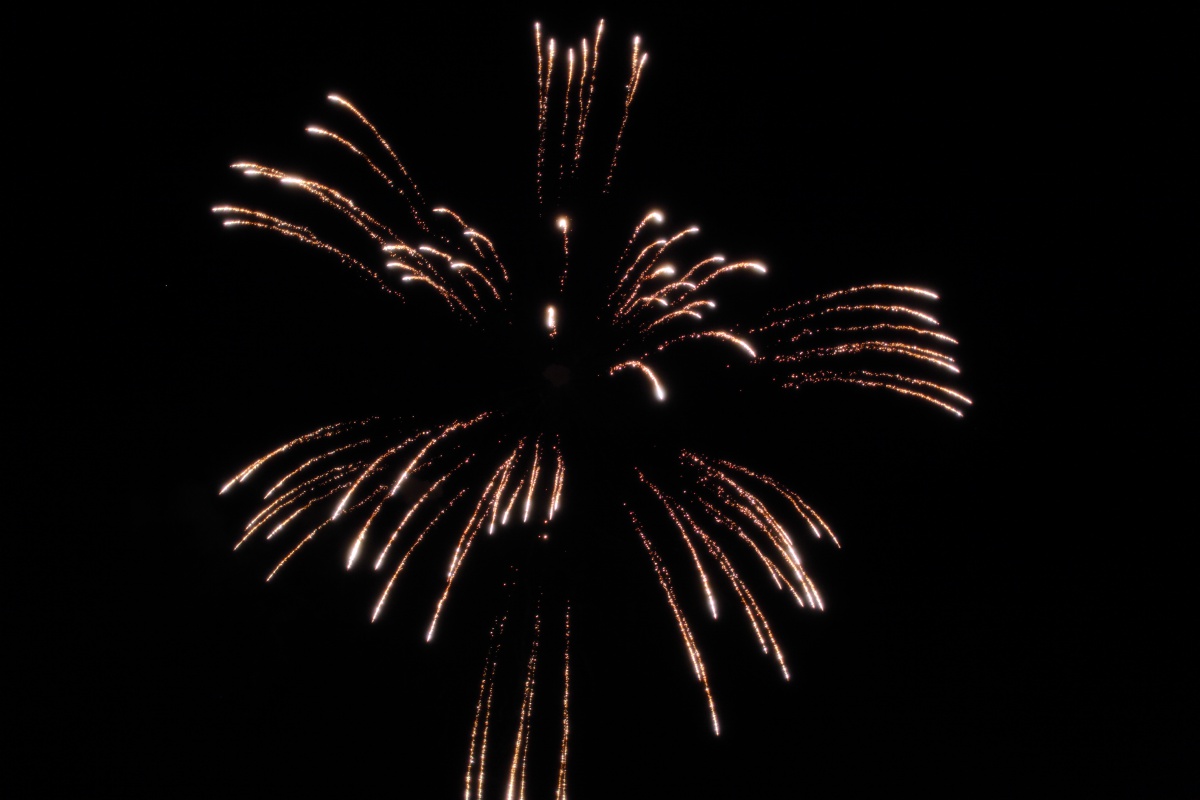 a0155104_17481138.jpg