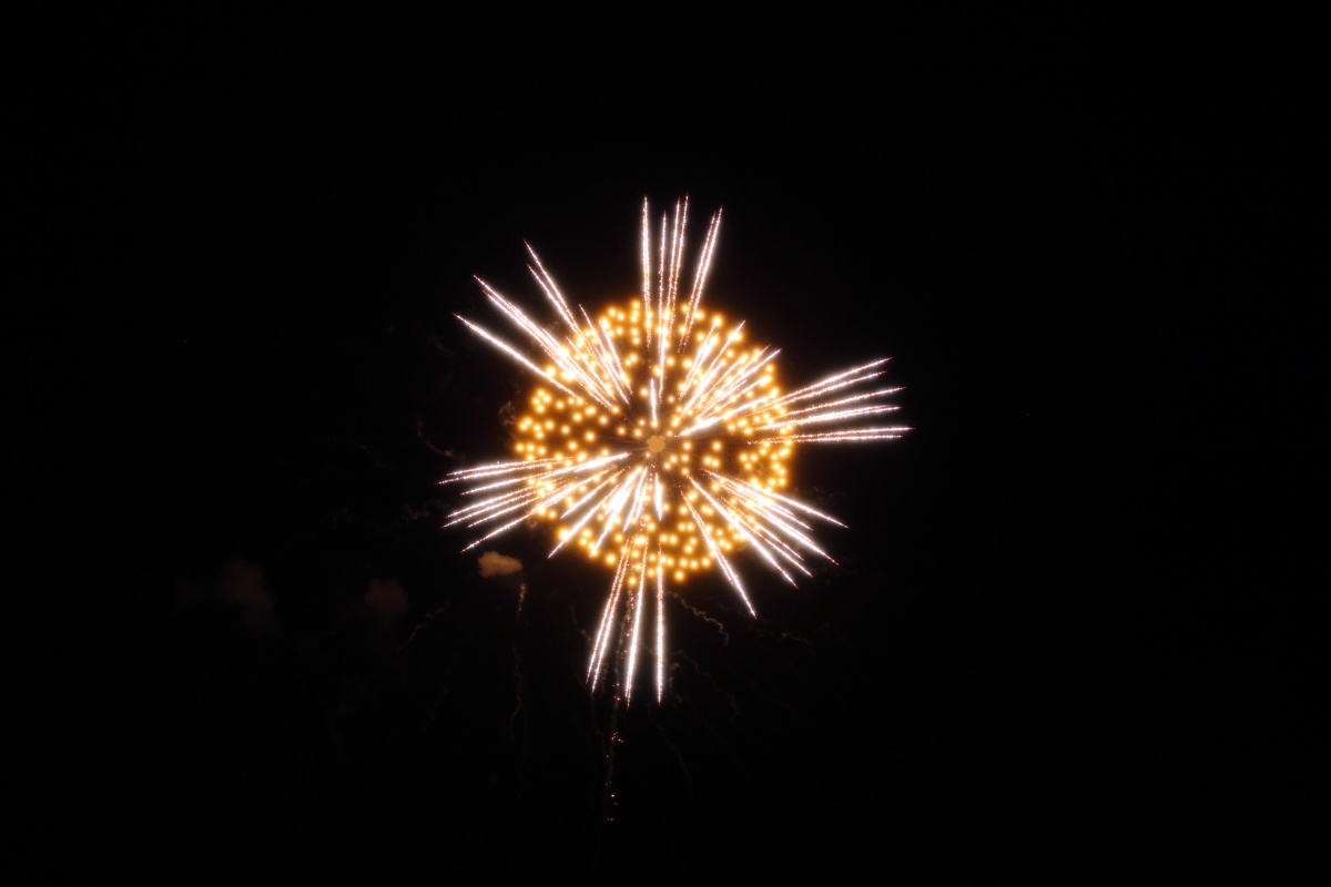 a0155104_17481928.jpg