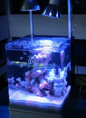 海道システム 立ち上げ9日経過 アクア工房いちなまの店長ブログ 海道システム 立ち上げ9日経過 アクア工房いちなまの店長ブログ