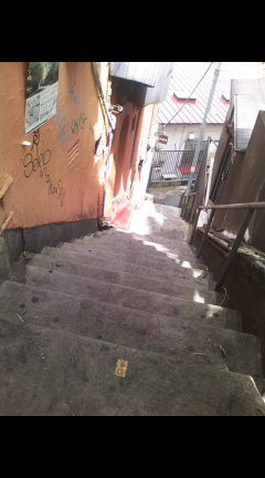 c0023406_18312553.jpg