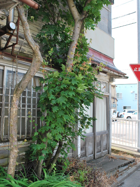 函館市末広町の洋風民家、和桝山畳店(函館擬洋風民家コレクション、その35)_f0142606_187011.jpg