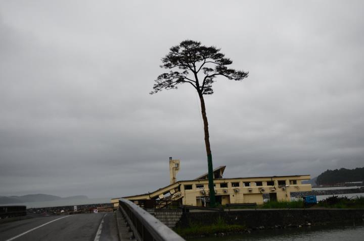 陸前高田市へ_d0047811_22565648.jpg