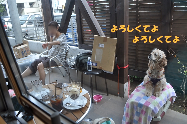 雨の大船渡と、晴れの盛(さかり)_b0067012_19571431.jpg