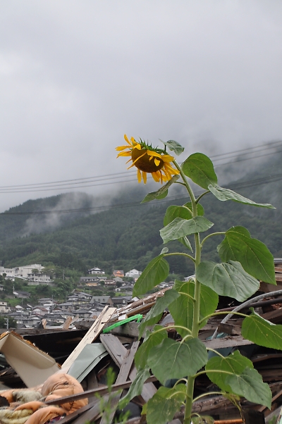 雨の大船渡と、晴れの盛(さかり)_b0067012_2139581.jpg