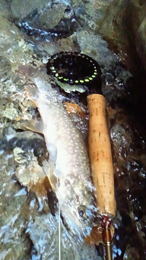 a0236914_13283920.jpg