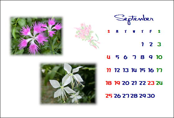 花カレンダー♪_c0185914_180832.jpg