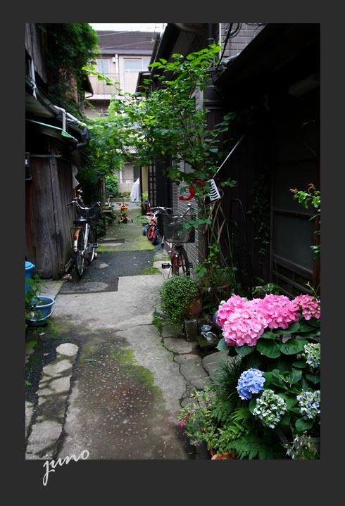 d0026414_19264346.jpg