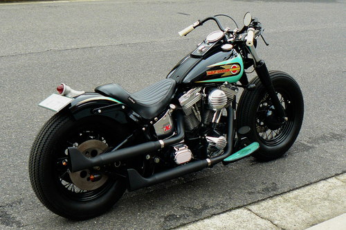 EVO Bobber_b0160319_1222050.jpg