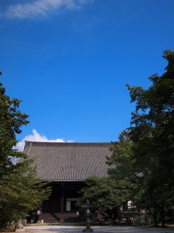 d0252924_1652372.jpg