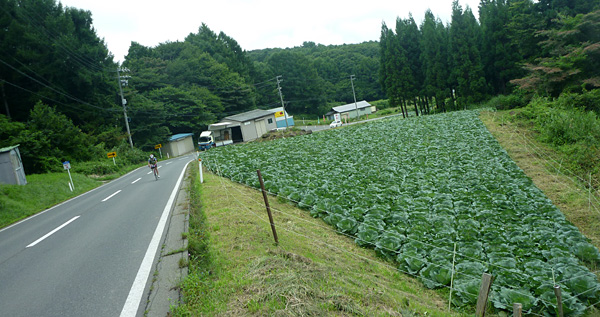 e0089826_21230100.jpg