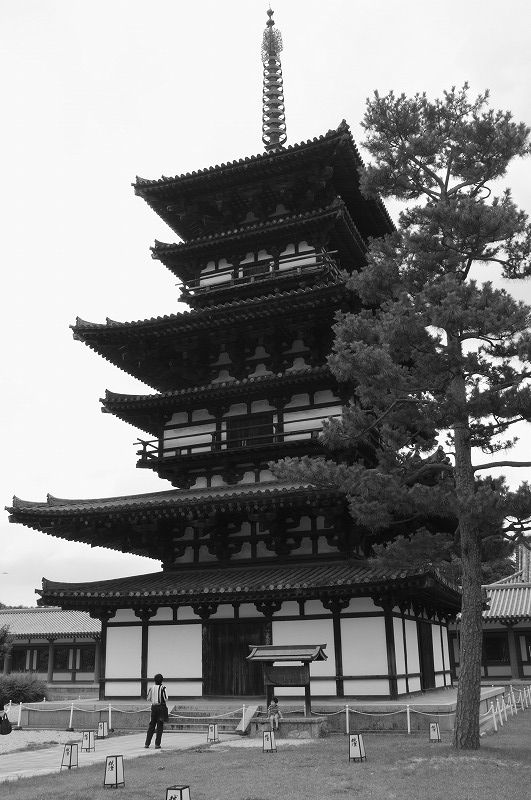 薬師寺　_f0050534_7362487.jpg