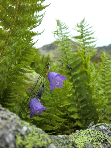 c0170236_21523749.jpg