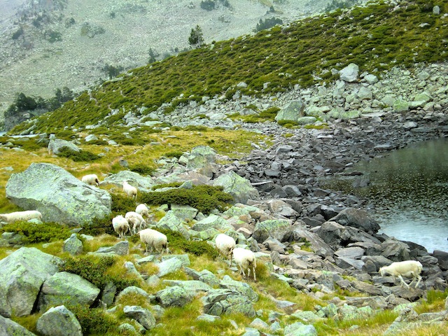 c0170236_2156846.jpg