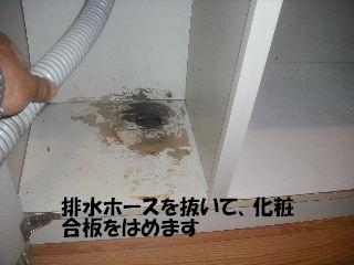 f0031037_2155672.jpg