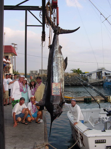 海には出られませんが、巨大魚の夢でも・・・ 【カジキ・マグロトローリング】_f0009039_10253028.jpg