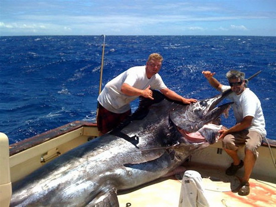 海には出られませんが、巨大魚の夢でも・・・ 【カジキ・マグロトローリング】_f0009039_10302252.jpg