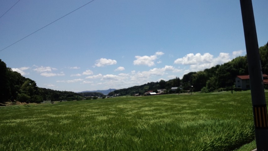 c0059543_19264368.jpg