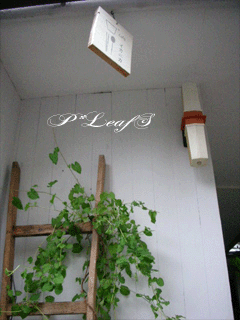 c0176651_1143027.gif