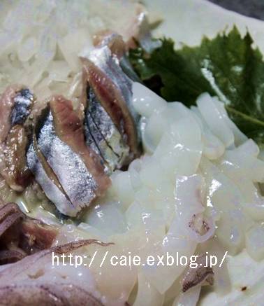 秋刀魚と赤いかの刺身 ネバとろ胡瓜 月桂樹 Laurus Nobilis 秋刀魚と赤いかの刺身 ネバとろ胡瓜 月桂樹 Laurus Nobilis