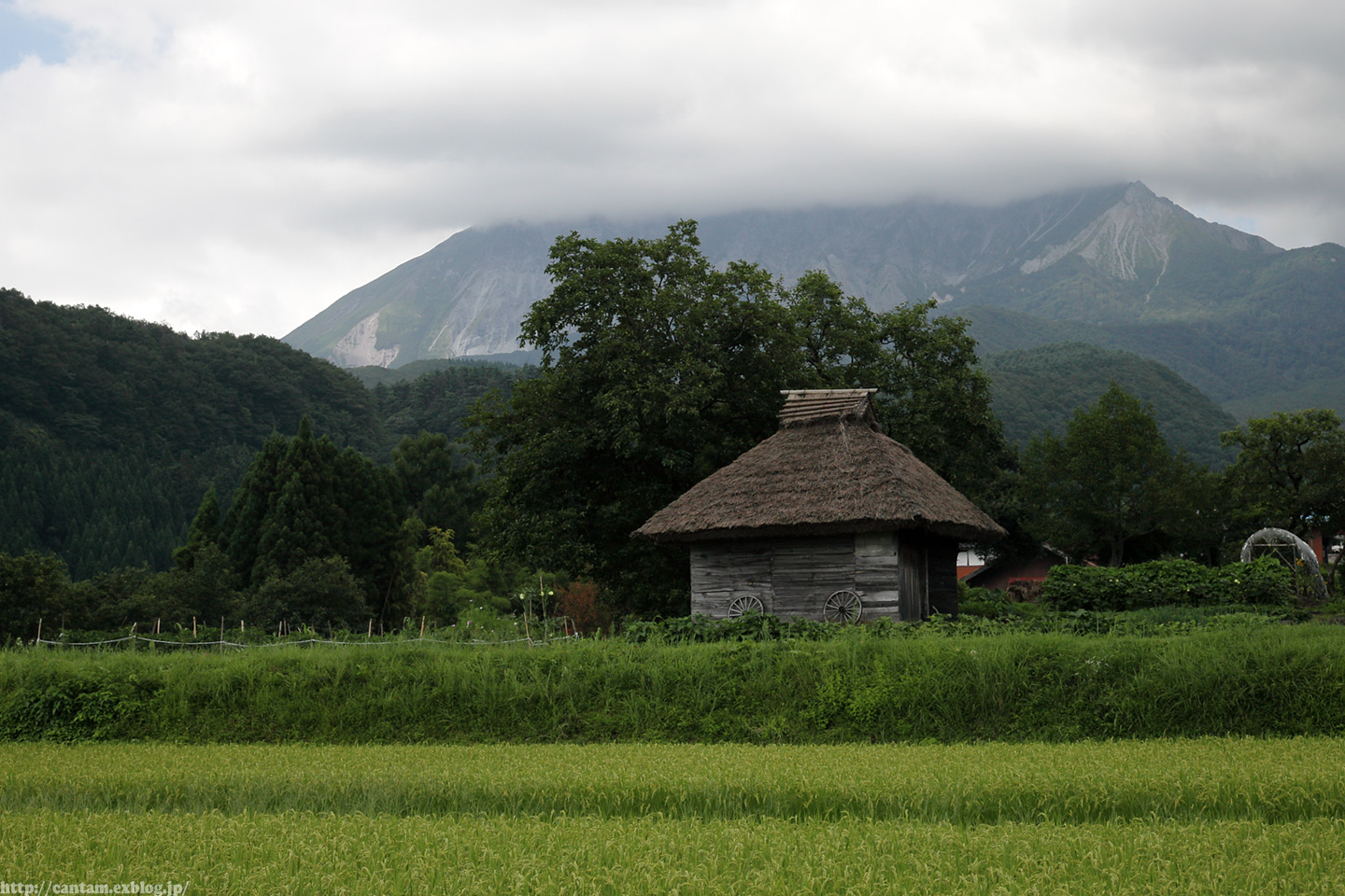 夏の終わりの奥大山_f0091955_10461416.jpg