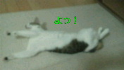 c0052756_09318.jpg