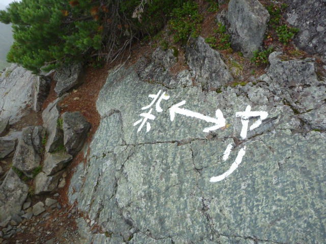 d0110562_011525.jpg