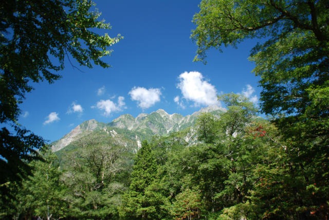 d0110562_1236461.jpg
