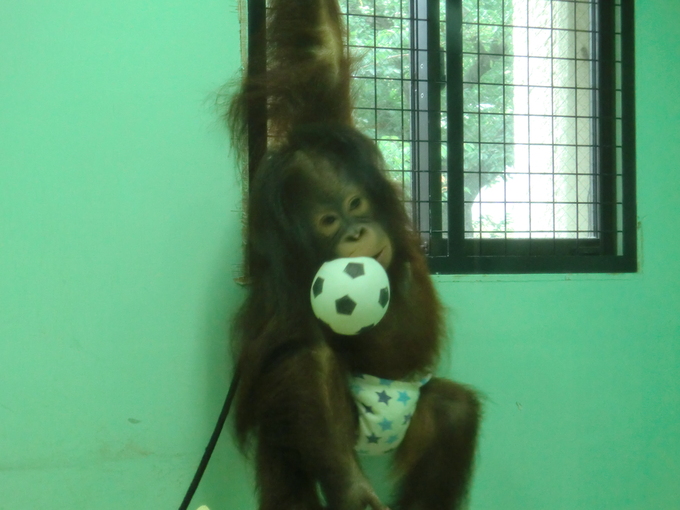 a0222663_0143072.jpg