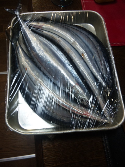 秋刀魚♪_a0077071_2034480.jpg