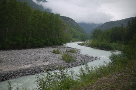 a0100975_81508.jpg