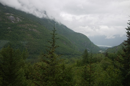 a0100975_83879.jpg