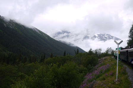 a0100975_84583.jpg
