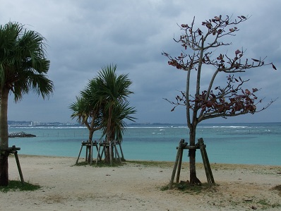 冬の沖縄おさんぽ旅2011 -最終回-_b0208577_8232277.jpg
