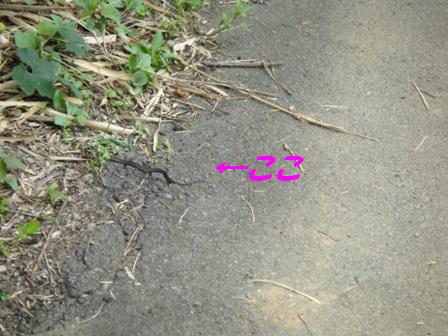 f0164479_24815.jpg