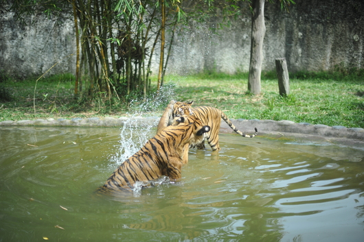 f0193680_023347.jpg
