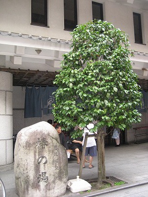 c0229483_8575145.jpg
