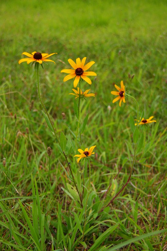 c0174593_15701.jpg
