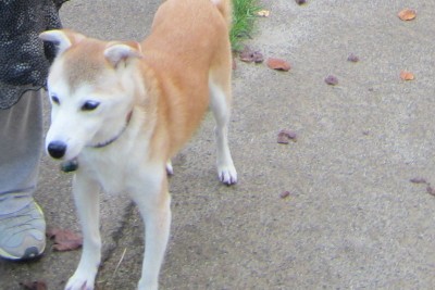 c0136296_0281610.jpg