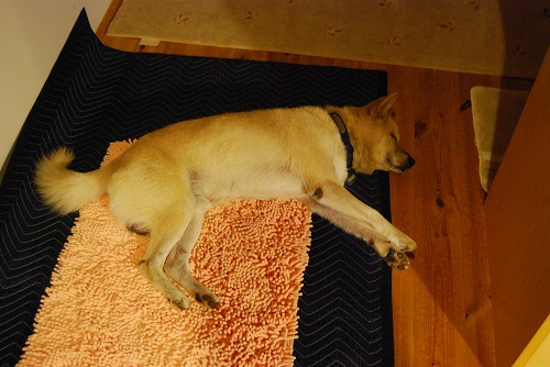 c0124100_2301313.jpg
