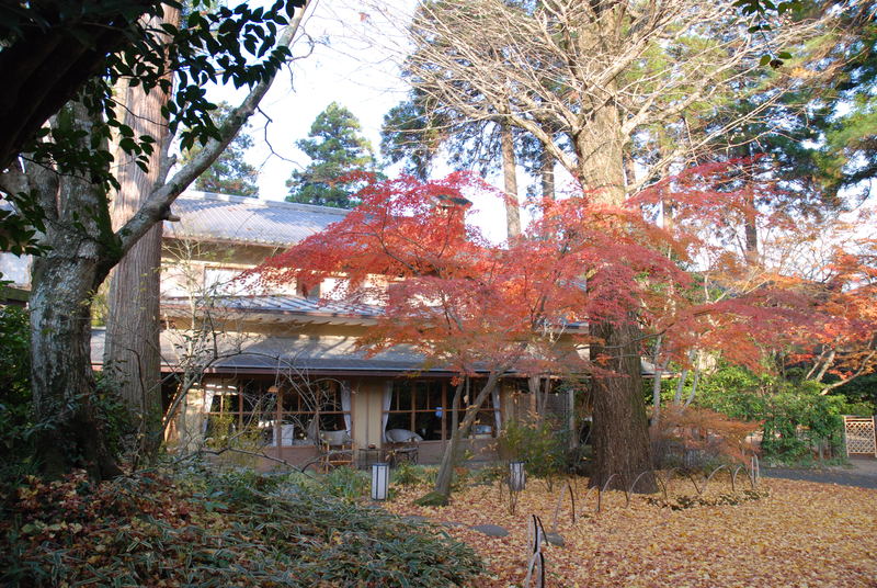 a0220901_20352266.jpg