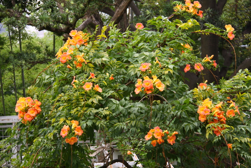 d0248502_14565552.jpg