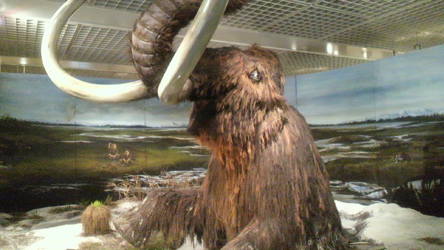f0224804_14353816.jpg