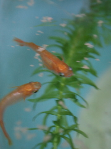 f0167007_20594996.jpg