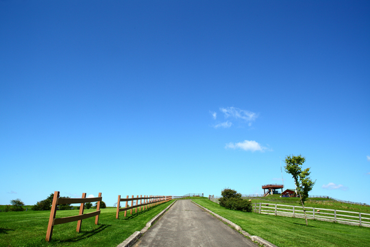 c0146510_21432744.jpg