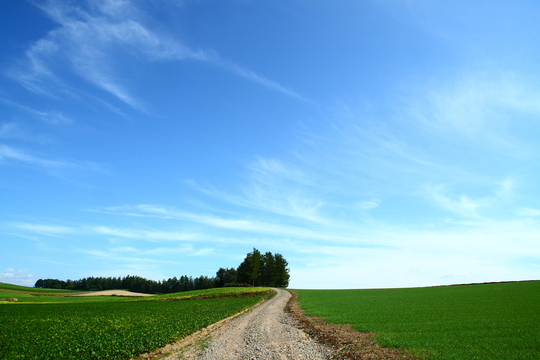 c0146510_214636100.jpg